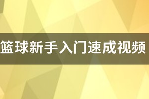 篮球训练小视频在线观看
